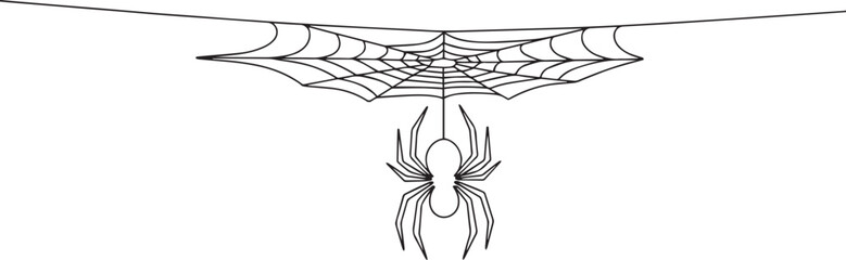 Continuous line art of a spider hanging from a web on a plain background in minimalist style