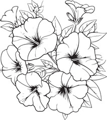 Elegant Floral Bouquet Coloring Pages Bundle