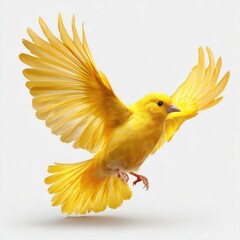 Fototapeta premium Radiant Yellow Bird in Flight , isolated on white background png