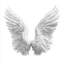 Fototapeta premium Pair of Majestic White Angel Wings , isolated on white background png