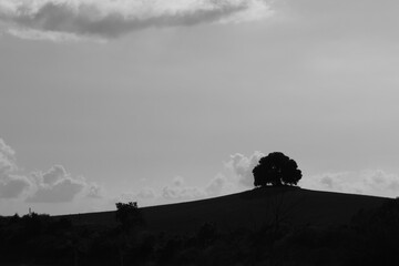 Obraz premium Scenes of Tuscany 2025