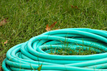 A turquoise garden hose is coiled neatly on the lush green grass, with a few dry leaves resting on its surface