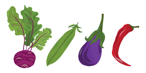 Kohlrabi, eggplant, pea, pepper set. Garden vegetable collection