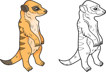 little meerkat, coloring page for kids