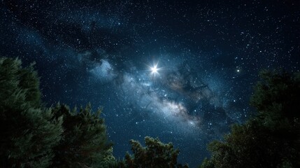 Fototapeta premium Majestic night sky filled with stars and the Milky Way, framed by dark, lush trees.
