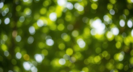 Obraz premium Blurred Sunlight Through Green Leaves Creating a Dreamy and Ethereal Atmosphere