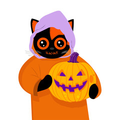 A cute Halloween illustration of a black and orange cat in a purple hood and orange robe, holding a carved pumpkin with a wide grin on a white background.