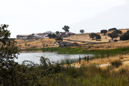mundo rural