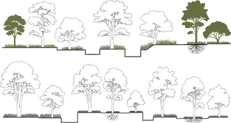 Isolated a Architectural Drawings, Minimal style cad tree line drawing, Side view, set of section wetland forest outline for landscape design drawing in separate element vector art .