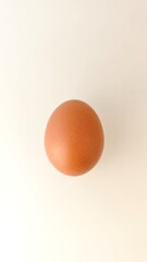 egg on white background
