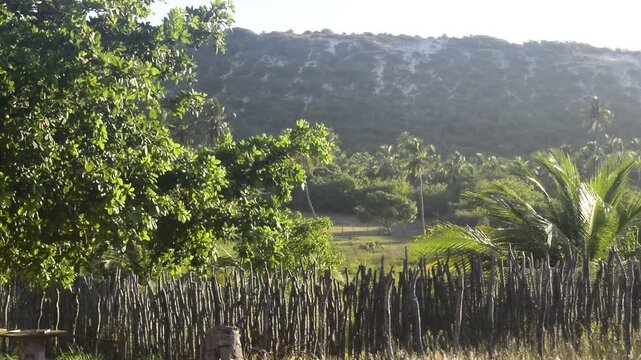 Fazenda rural em meio a natureza com morro e floresta de caatinga verde, serra ao amanhecer