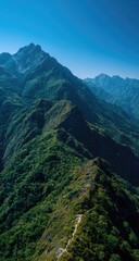 Obraz premium Mountain ridge trail, lush foliage, clear sky, serene view