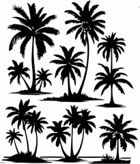 Exotic coconut tree silhouett...