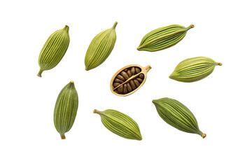 Green cardamom pods and a cut open pod isolated on transparent background