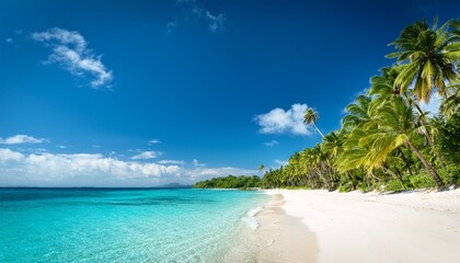Naklejka premium a tropical beach with clear blue water white sand and tall palm trees under a sunny sky