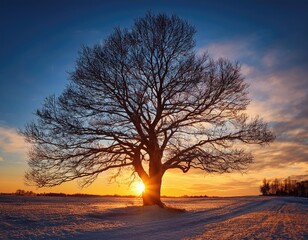 A solitary, skeletal tree is silhouetted against the fading light of a cold winter evening. Generated with AI