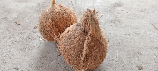 coconut fruit 