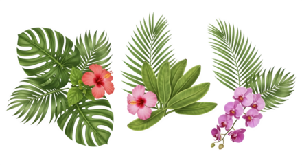Tropical Foliage and Flowers Monstera Palm Hibiscus Orchids.