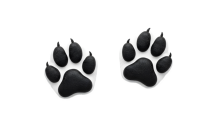 Two Black Paw Prints Isolated on White Background.