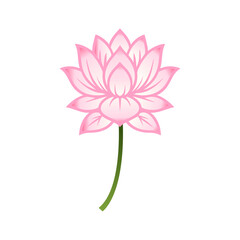 Lotus Flower