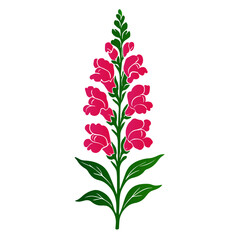 Snapdragon Flower