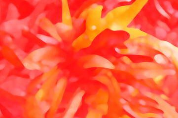 Tree plant  and leaves natural elements making blur effect with apply red color tonesd 