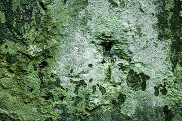 Texture of old faded wall as abstract background.