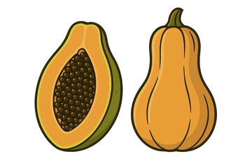 Minimalist vector illustration of papaya and butternut squash with distinct shapes and textures, vibrant cartoon style fruit and vegetable clipart with transparent background