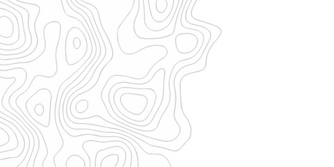 White abstract floral area topography map landscape. mountain line wave grid stripe line map topography. geometric black wave curve lines texture.