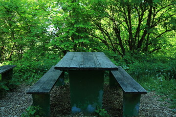 Weathered wooden bench and table set