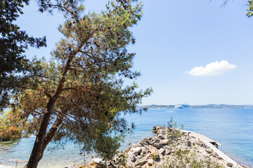 Fototapeta premium Scenic Mediterranean rocky coastline featuring a large pine tree, crystal clear turquoise water, stone formations, and peaceful natural setting.