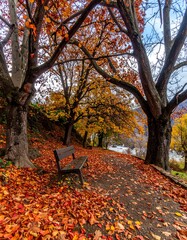 Obraz premium Autumn park bench with colorful leaves