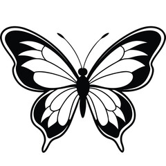 Black and white line art drawing of a butterfly with open wings insect graphic