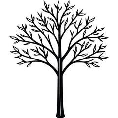 Obraz premium Black and White Stylized Tree with Delicate Leafy Branches on White vector illustration