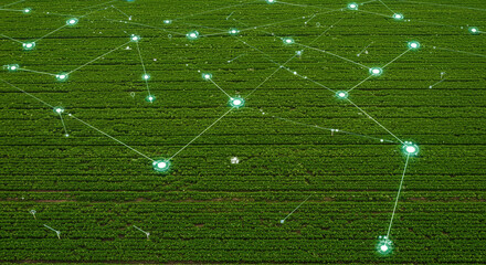 Abstract network of glowing green lights and lines superimposed over a textured green background representing data flow and connectivity