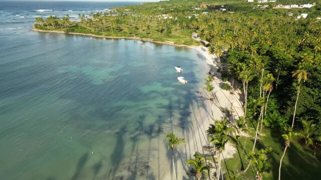 Drone footage of Playa Aserradero, Las Galeras &mdash; palm shadows falling on soft sand and calm blue waters