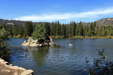 A small stone island in the middle of the lake, on which a lone pine tree grows. The lake is surrounded by a pine forest