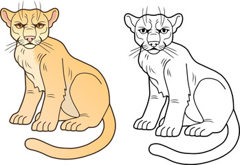 puma, outline illustration, coloring page for kids