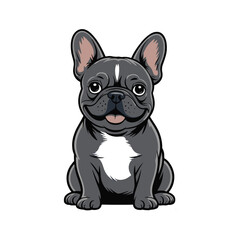 Cute and adorable black and white French Bulldog puppy sitting with a curious expression, vector illustration