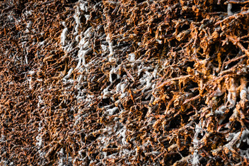 Salzablagerungen auf Reisig