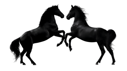 Black Horses Facing Each Other A Powerful Silhouette Depiction of Equine Strength and Mutual Respect Art