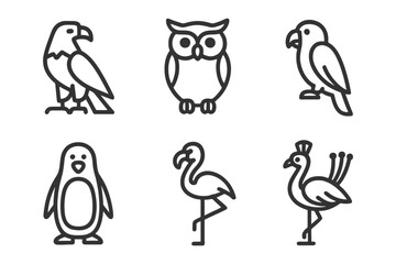 Fototapeta premium A collection of six black and white bird illustrations, including penguins, flamingos, and owls. vector