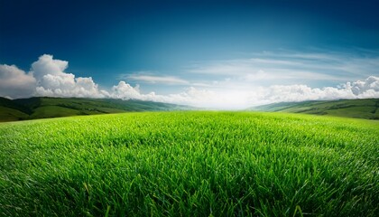 Fototapeta premium lush emerald grass field with perfect texture stretching across natural landscape