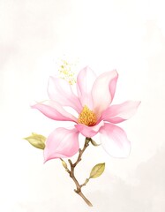Obraz premium Delicate Pink Magnolia