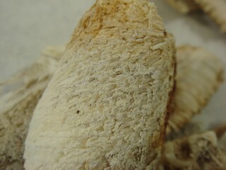 Biegap, the carapace of softshell turtles, is recognized in traditional medicine. With its unique structure, it is boiled for remedies that support vitality and is also consumed for nutrition in Korea