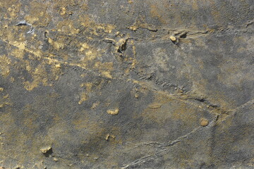 An unusual, worn, antique background is made from pieces of thick fabric with cement, painted with old yellow paint.