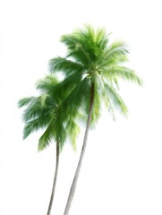 Fototapeta premium Tall and vibrant palm trees sway gently in the breeze. Their lush green leaves stand out against a bright white background. Perfect for tropical themes and relaxation. AI
