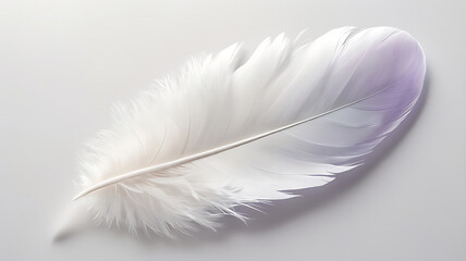 Obraz premium Delicate white feather with iridescent pastel hues on a clean white background