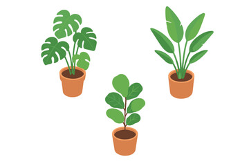 Isometric indoor plant icon set. Potted tropical houseplants collection with monstera, bird of paradise, fiddle leaf fig. Vector illustration for home decor and interior design.