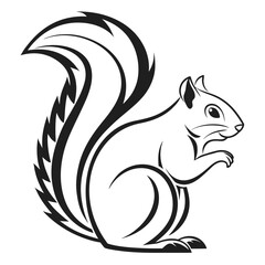 squirrel on a white background